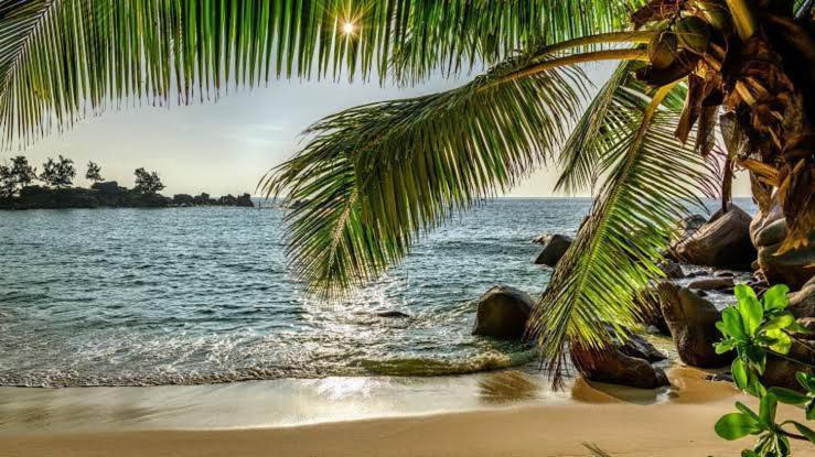 Baga Beach Palms Экстерьер фото